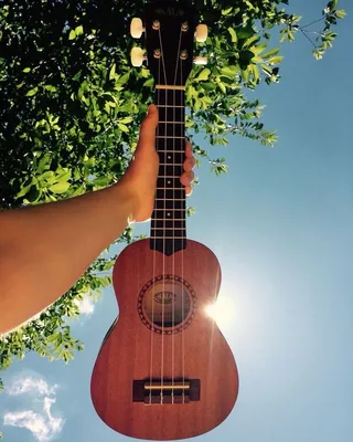 Ukulele Classes